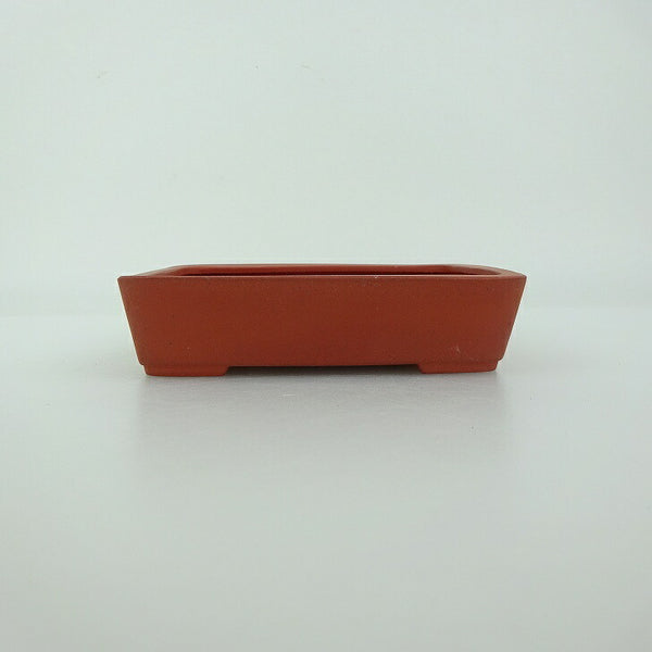 盆栽鉢 青香 小型 長辺 約11.6cm 長方鉢 泥物 新品 数量物 o1198426471
