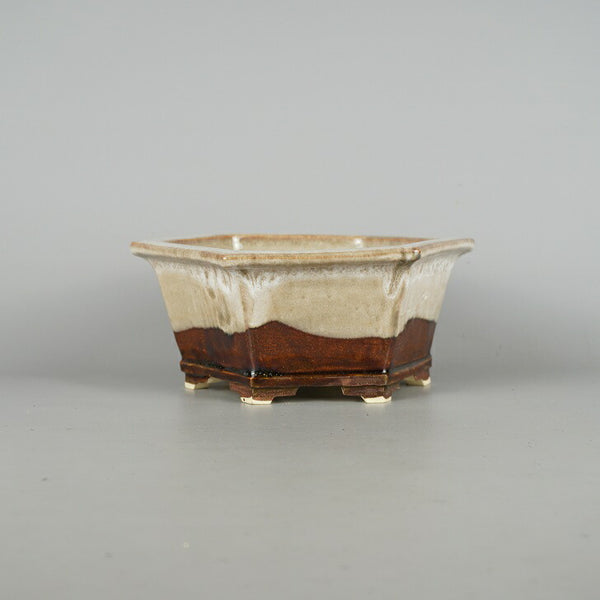 盆栽鉢 桂雲 福田桂雲 中型 長辺 約20.5cm 六角鉢 釉薬 新品 数量物 m1198410119