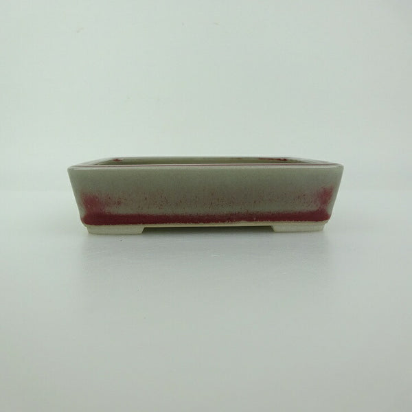 盆栽鉢 青香 小型 長辺 約12cm 長方鉢 釉薬 新品 数量物 q1198410194