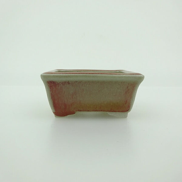 盆栽鉢 青香 小鉢 長辺 約5.8cm 長方鉢 縁付 釉薬 d1198426010