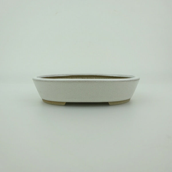 盆栽鉢 青香 小鉢 長辺 約9.8cm 楕円鉢 釉薬 新品 数量物 w1198409419