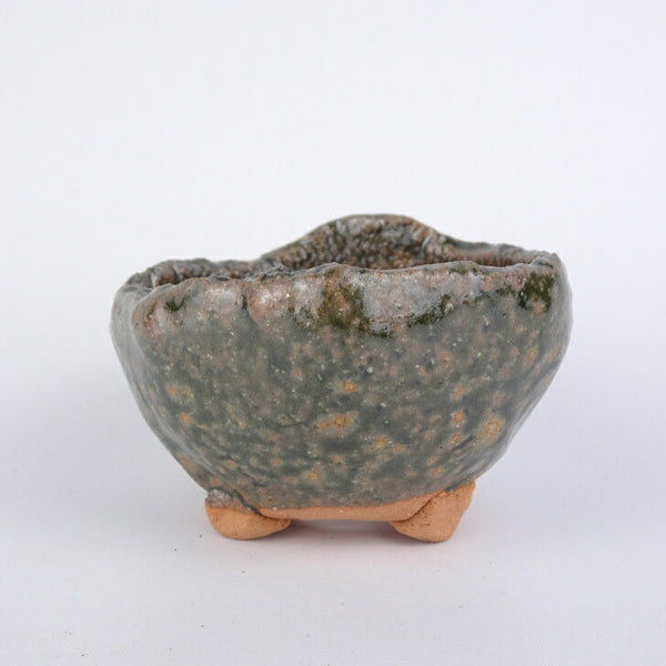 盆栽鉢 竹鳳 小鉢 長辺 約7cm 丸鉢 釉薬 数量物 新品 h1198422245