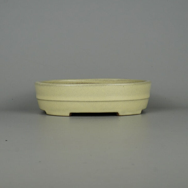 盆栽鉢 常滑 山房造 小型 長辺 約19cm 楕円鉢 切立 中帯 小判 白釉 釉薬 新品 数量物 b1198419575