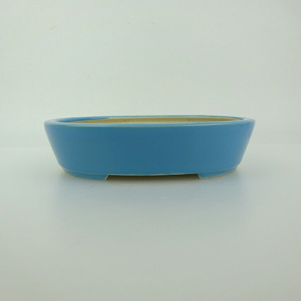 盆栽鉢 青香 小型 長辺 約14.8cm 楕円鉢 釉薬 新品 数量物 k1198407487