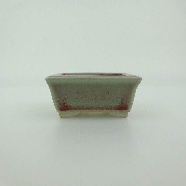 盆栽鉢 青香 小鉢 長辺 約5.8cm 長方鉢 縁付 釉薬 新品 数量物 l1198412066