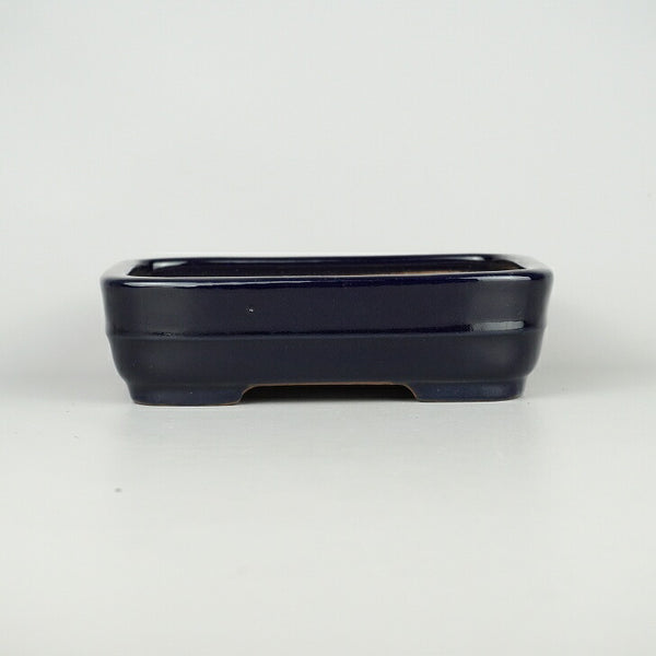 盆栽鉢 常滑 山房造 小型 長辺 約18.8cm 長方鉢 撫角 切立 中帯 瑠璃 釉薬 新品 数量物 q1198418005
