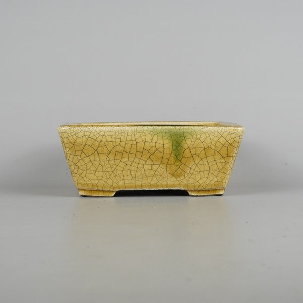 盆栽鉢 里美 寺畑陶園 小型 長辺 約16.5cm 長方鉢 黄瀬戸 釉薬 新品 数量物 g1198422513