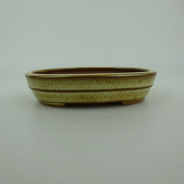 盆栽鉢 青香 小鉢 長辺 約9.9cm 楕円鉢 中帯 釉薬 t1198414600