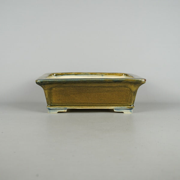 盆栽鉢 桂雲 福田桂雲 中型 長辺 約23.5cm 長方鉢 釉薬 新品 数量物 1198405278