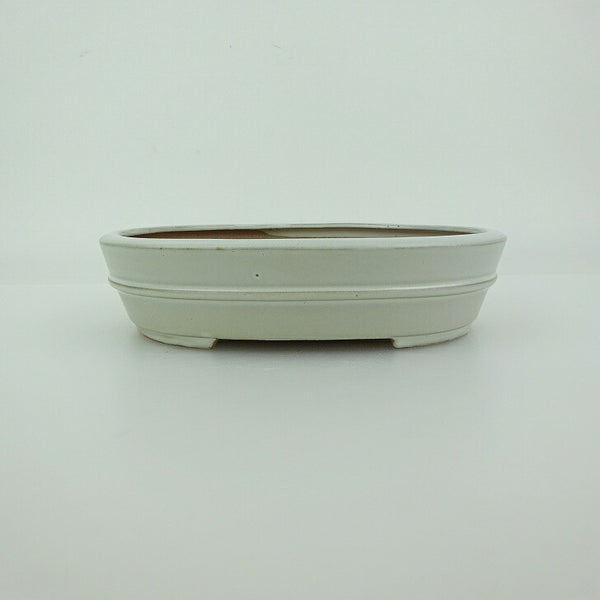 盆栽鉢 青香 小型 長辺 約14.8cm 楕円鉢 中帯 釉薬 新品 数量物 u1198420296