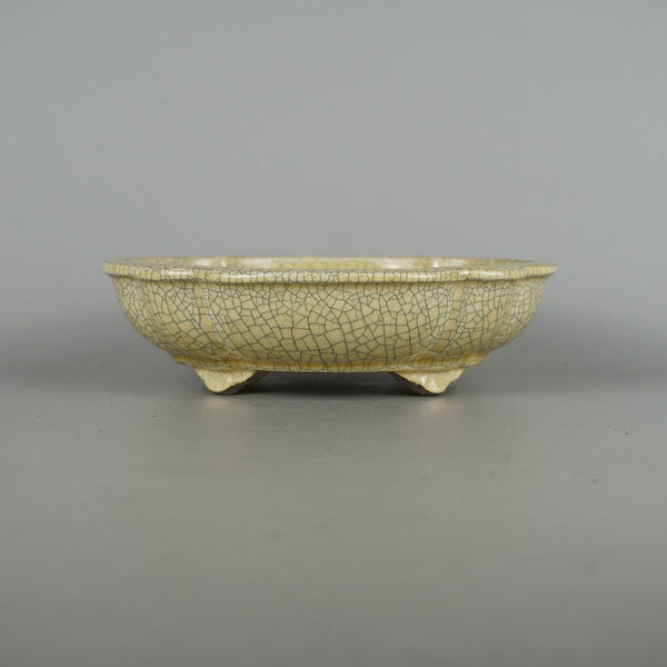 盆栽鉢 里美 寺畑陶園 中型 長辺 約20.5cm 木瓜鉢 白貫入 釉薬 新品 数量物 j1198415219