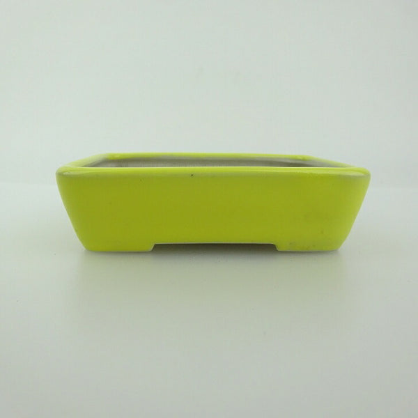 盆栽鉢 青香 小鉢 長辺 約9.2cm 長方鉢 釉薬 k1198414012