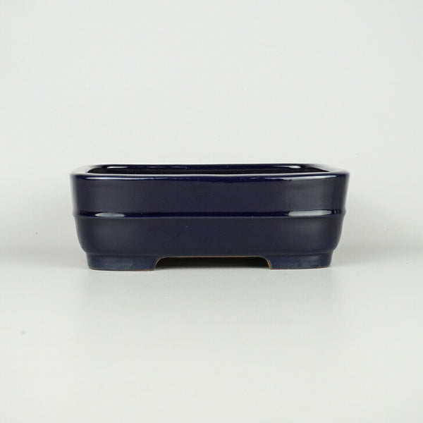 盆栽鉢 常滑 山房造 小型 長辺 約19cm 長方鉢 撫角 切立 中帯 長角 瑠璃 釉薬 新品 数量物 r1198402691