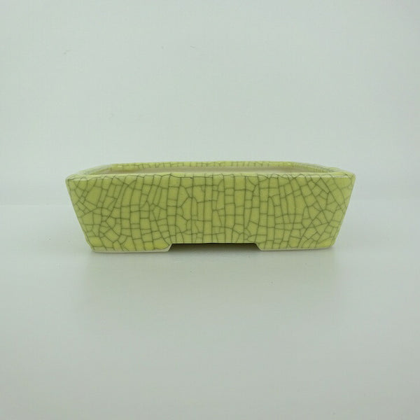 盆栽鉢 青香 小型 長辺 約14.8cm 長方鉢 貫入 釉薬 新品 数量物 x1198412484