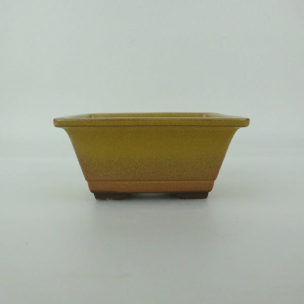 盆栽鉢 万古焼 萬古 森三 小型 長辺 約11.7cm 長方鉢 縁付 下帯 釉薬 新品 数量物 h1198428012