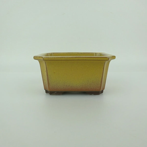 盆栽鉢 万古焼 萬古 森三 小型 長辺 約11cm 長方鉢 隅入 釉薬 新品 数量物 o1198424187