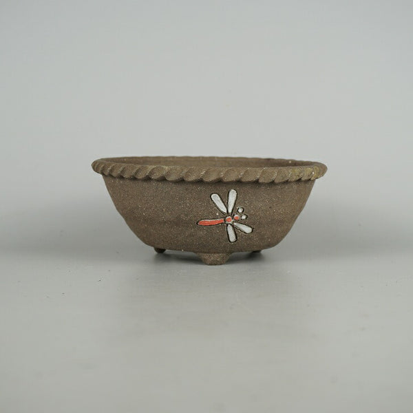 盆栽鉢 文山 越前文山 小型 長辺 約 15.7cm 鯖江園芸 丸鉢 色絵 蜻蛉 とんぼ トンボ 観賞用  新品 u1198422686