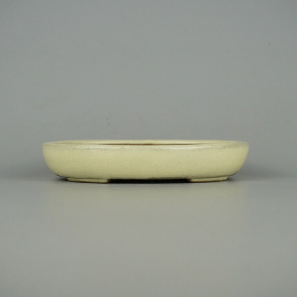 盆栽鉢 常滑 山房 小型 長辺 約13.5cm 楕円鉢 ワン型 小判 白釉 釉薬 新品 数量物 c1198409239