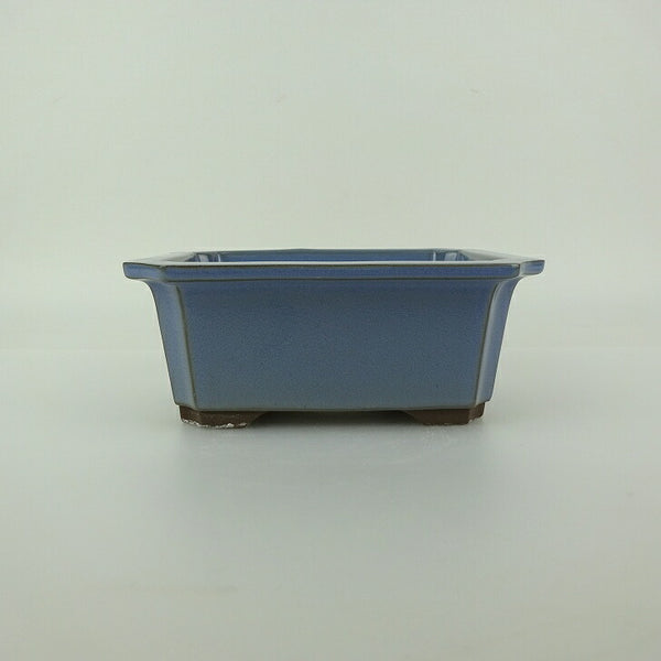 盆栽鉢 万古焼 萬古 森三 小型 長辺 約13.8cm 長方鉢 隅入 釉薬 新品 数量物 v1198440220