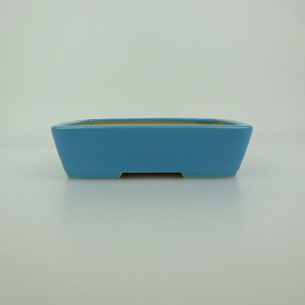 盆栽鉢 青香 小型 長辺 約14.5cm 長方鉢 釉薬 新品 数量物 m1198405721