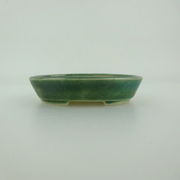 盆栽鉢 青香 小鉢 長辺 約8.5cm 楕円鉢 釉薬 新品 数量物 w1198415450