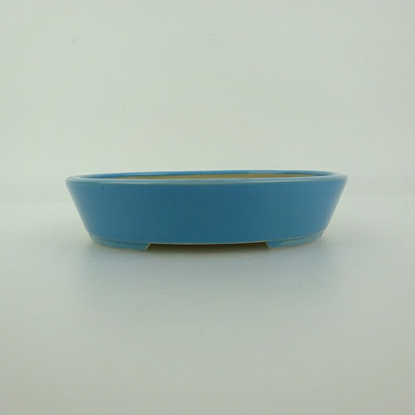盆栽鉢 青香 小型 長辺 約12cm 楕円鉢 釉薬 新品 数量物 d1198417739
