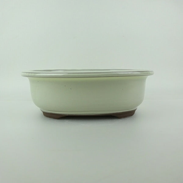 盆栽鉢 万古焼 萬古 中型 長辺 約21cm 楕円鉢 縁付 釉薬 新品 数量物 k1198405536