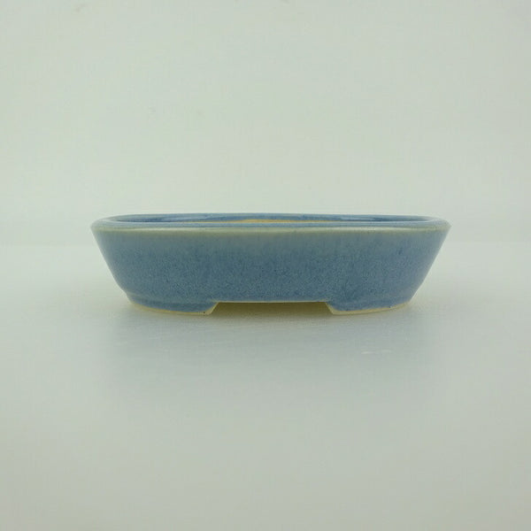 盆栽鉢 青香 小鉢 長辺 約8.5cm 楕円鉢 釉薬 新品 数量物 t1198403688