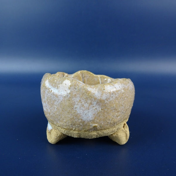 盆栽鉢 竹鳳 落款なし 小鉢 長辺 約 5.6cm 丸鉢 釉薬  新品 t1198413355