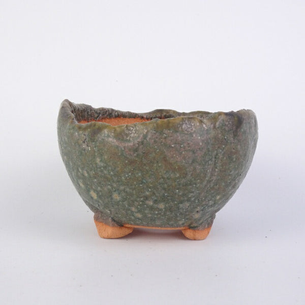 盆栽鉢 竹鳳 小鉢 長辺 約7cm 丸鉢 釉薬 数量物 新品 b1198419178