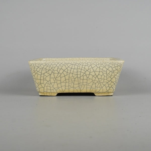 盆栽鉢 里美 寺畑陶園 小型 長辺 約16.2cm 長方鉢 白貫入 釉薬 新品 数量物 q1198419053