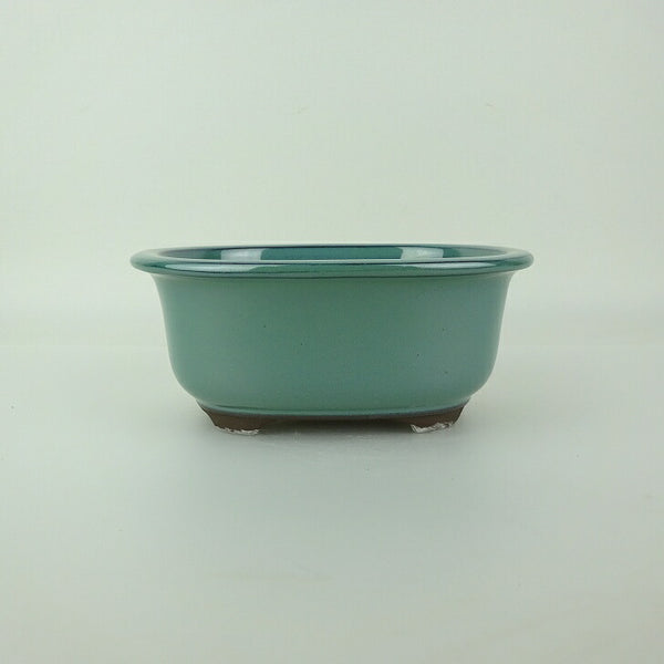 盆栽鉢 万古焼 萬古 小型 長辺 約16cm 楕円鉢 縁付 釉薬 新品 数量物 v1198434445