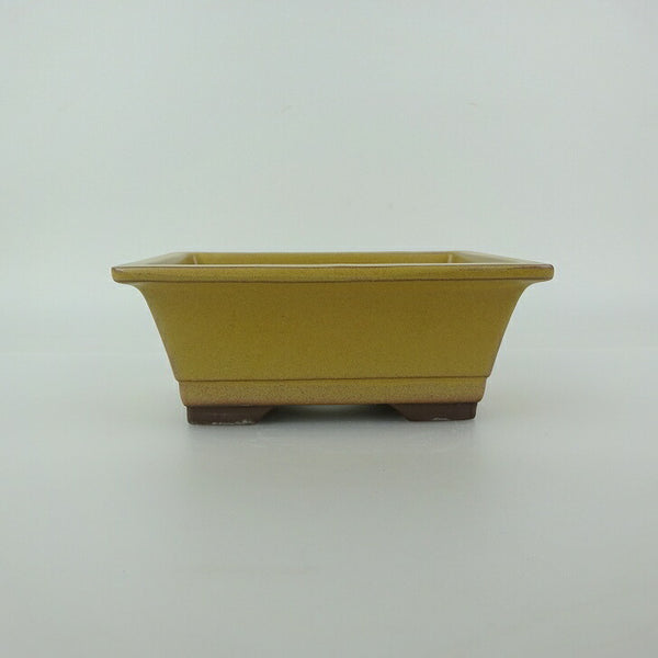 盆栽鉢 万古焼 萬古 森三 小型 長辺 約14cm 長方鉢 縁付 下帯 釉薬 新品 数量物 e1198413125