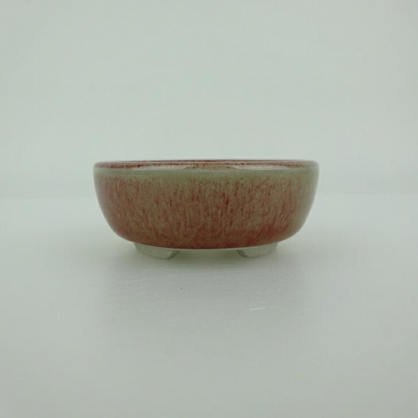 盆栽鉢 青香 小鉢 長辺 約6cm 丸鉢 釉薬 新品 数量物 m1198403896