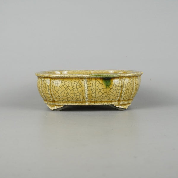 盆栽鉢 里美 寺畑陶園 小型 長辺 約17.3cm 剣 木瓜鉢 縁付 下帯 黄瀬戸 釉薬 新品 数量物 x1198411487