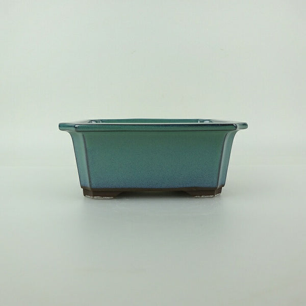 盆栽鉢 万古焼 萬古 森三 小型 長辺 約13.8cm 長方鉢 隅入 釉薬 新品 数量物 c1198410911