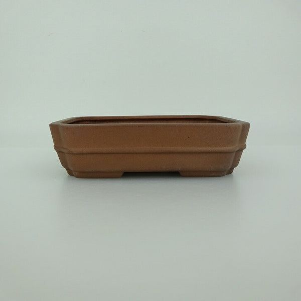 盆栽鉢 青香 小型 長辺 約14.8cm 長方鉢 中帯 隅入 泥物 新品 数量物 q1198418053