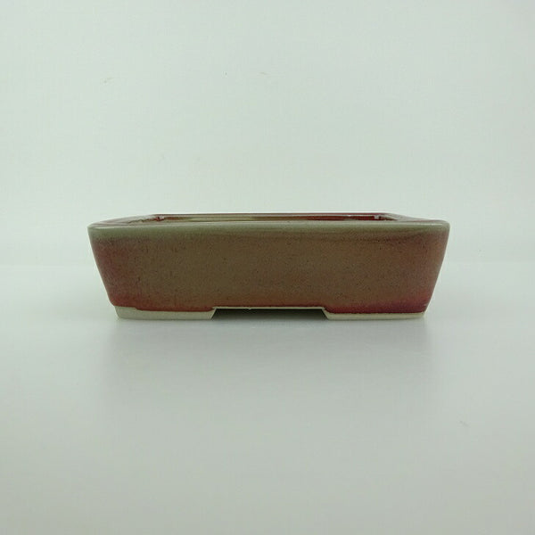 盆栽鉢 青香 小型 長辺 約14.3cm 長方鉢 釉薬 新品 数量物 w1198414459