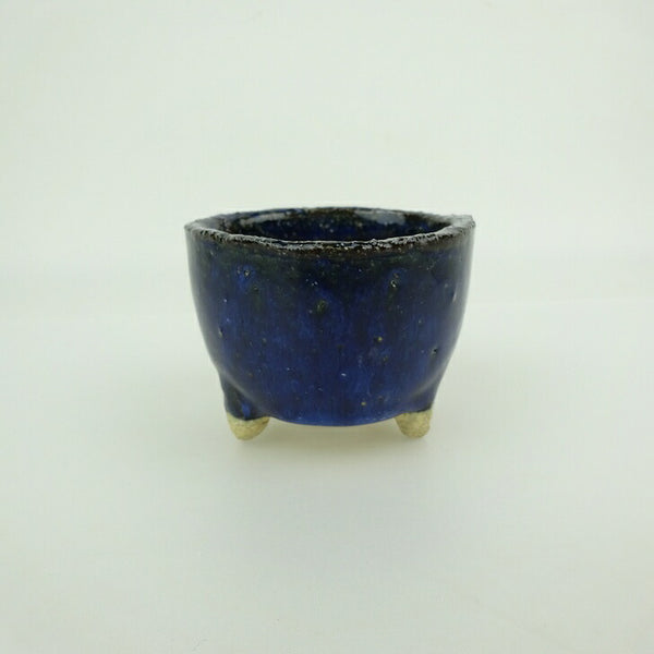 盆栽鉢 信楽焼 小鉢 長辺 約7.5cm 丸鉢 信楽 楽風 鉢 釉薬 観賞用 新品 数量物 m1198406987