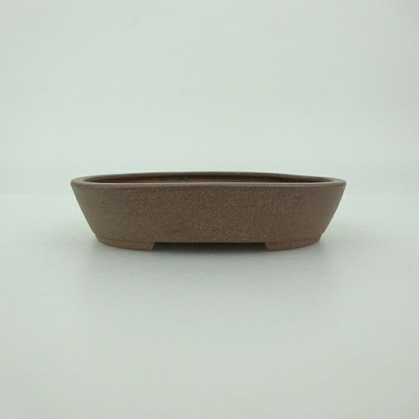 盆栽鉢 青香 小鉢 長辺 約9.6cm 楕円鉢 泥物 新品 数量物 t1198411619