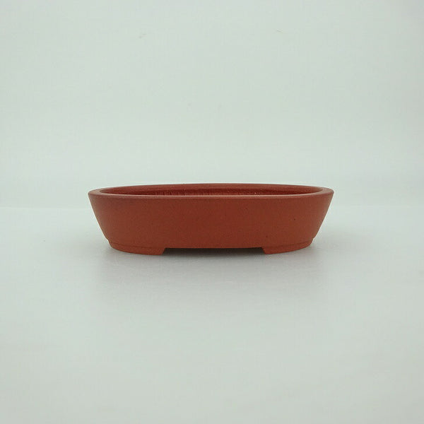盆栽鉢 青香 小鉢 長辺 約9.6cm 楕円鉢 泥物 新品 数量物 1198398731
