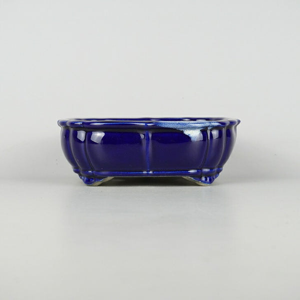 盆栽鉢 里美 寺畑陶園 小型 長辺 約17.3cm 剣 木瓜鉢 縁付 下帯 瑠璃 釉薬 新品 数量物 f1198411770