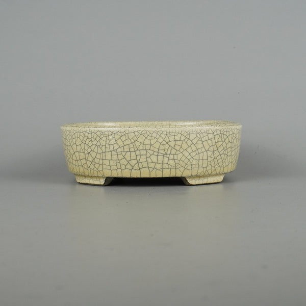 盆栽鉢 里美 寺畑陶園 小型 長辺 約 16cm 楕円鉢 白貫入 小判 釉薬 新品 数量物 f1198407797