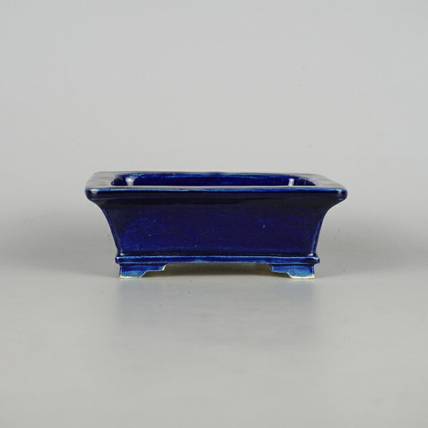 盆栽鉢 桂雲 福田桂雲 小型 長辺 約14.5cm 長方鉢 釉薬 新品 数量物 o1198428711