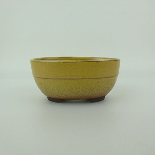 盆栽鉢 万古焼 萬古 森三 小型 長辺 約11cm 楕円鉢 中帯 釉薬 新品 数量物 n1198409334