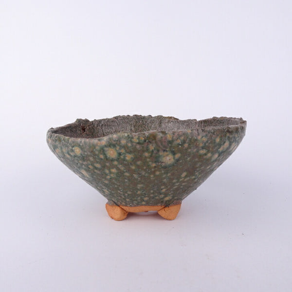 盆栽鉢 竹鳳 小型 長辺 約13cm 丸鉢 釉薬 数量物 新品 q1198409237