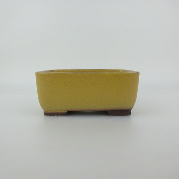 盆栽鉢 万古焼 萬古 森三 小型 長辺 約13.8cm 長方鉢 撫角 釉薬 新品 数量物 k1198409477