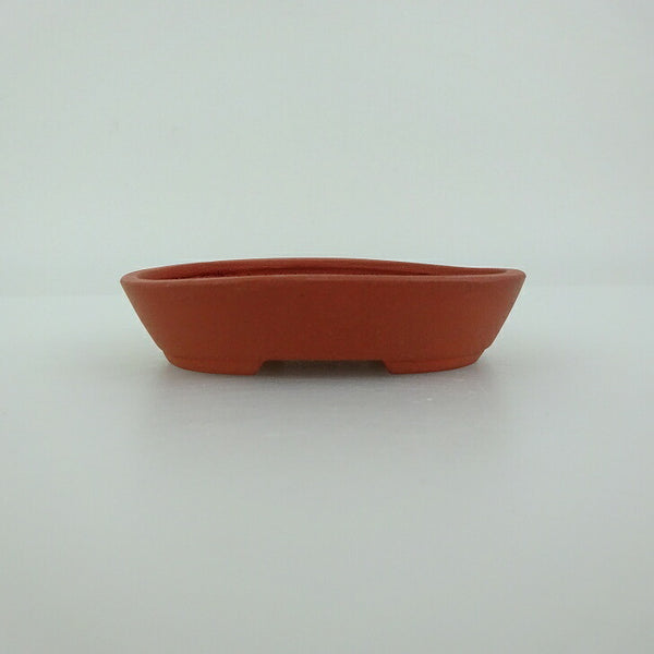 盆栽鉢 青香 小型 長辺 約18.2cm 楕円鉢 泥物 新品 数量物 v1198439272