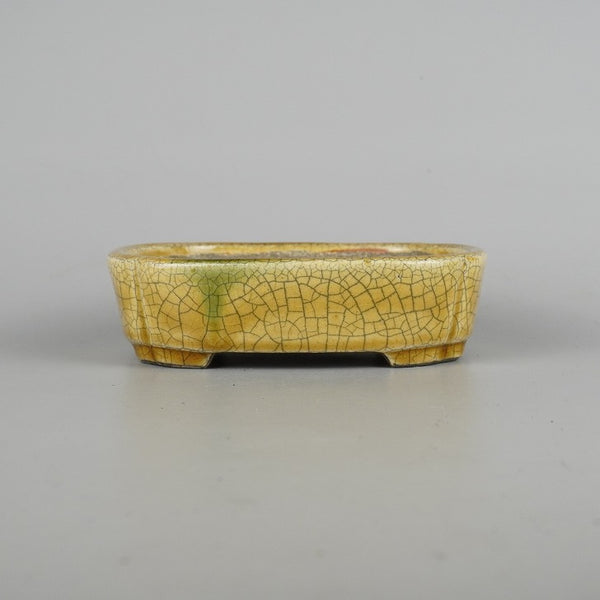 盆栽鉢 里美 寺畑陶園 小型 長辺 約16.3cm 浅 木瓜鉢 黄瀬戸 釉薬 新品 数量物 k1198411768