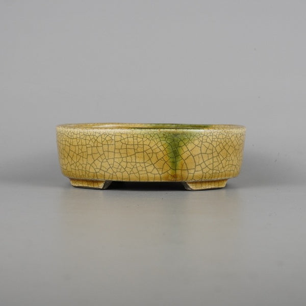 盆栽鉢 里美 寺畑陶園 小型 長辺 約16cm 楕円鉢 黄瀬戸 釉薬 新品 数量物 h1198427363